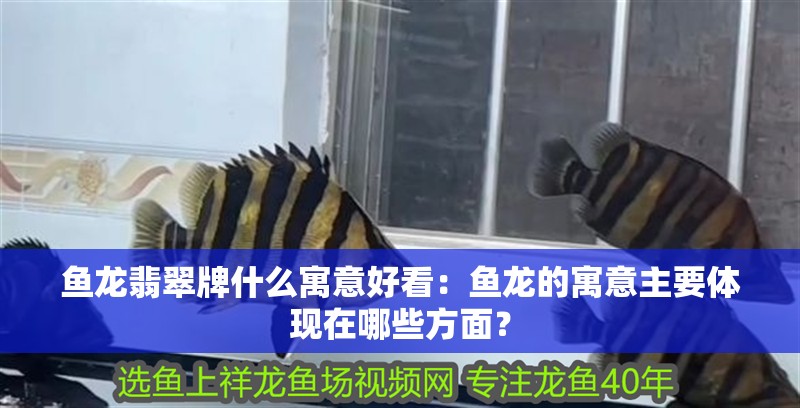 魚龍翡翠牌什么寓意好看：魚龍的寓意主要體現在哪些方面？