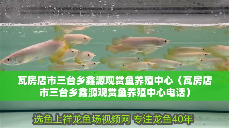 <strong><mark>瓦房店</mark></strong>市三臺鄉(xiāng)鑫源觀賞魚養(yǎng)殖中心（<strong><mark>瓦房店</mark></strong>市三臺鄉(xiāng)鑫源觀賞魚養(yǎng)殖中心電話）