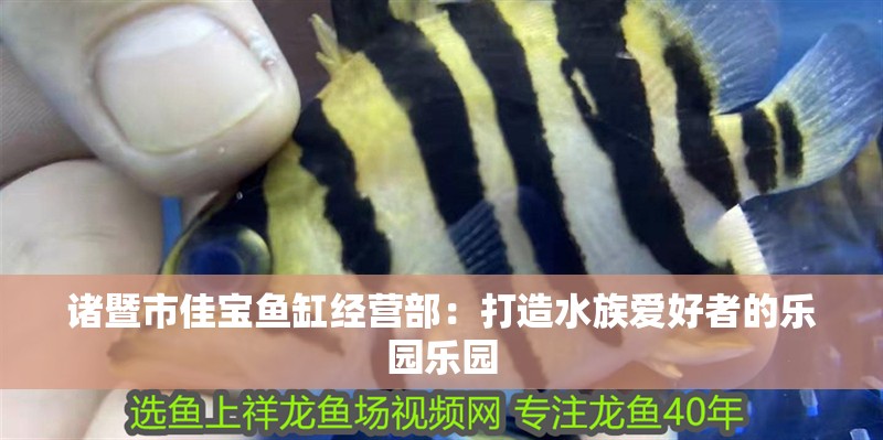 諸暨市佳寶魚缸經(jīng)營(yíng)部：打造水族愛好者的樂園樂園
