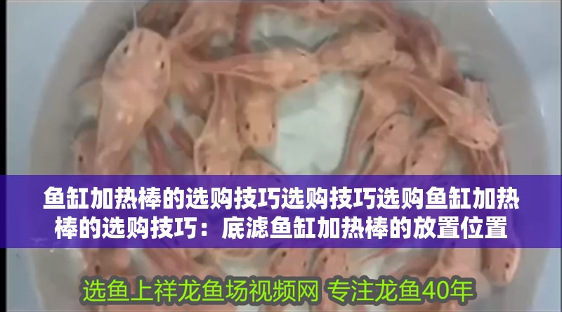 魚缸加熱棒的選購技巧選購技巧選購魚缸加熱棒的選購技巧：底濾魚缸加熱棒的放置位置