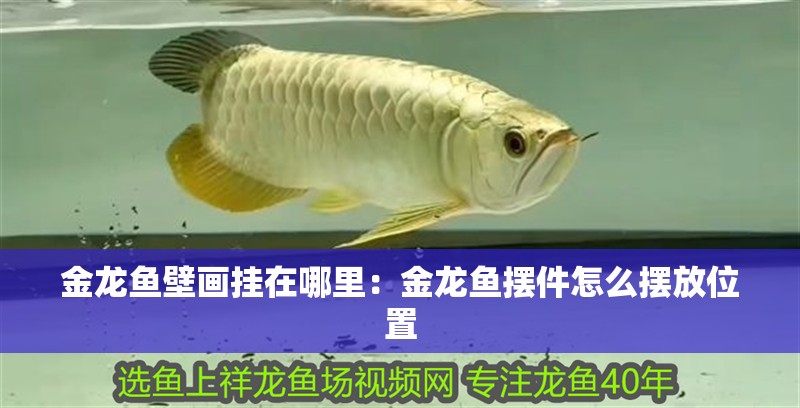 金龍魚壁畫掛在哪里：金龍魚擺件怎么擺放位置 金龍魚壁畫掛在哪里：金龍魚擺件怎么擺放位置 龍魚百科
