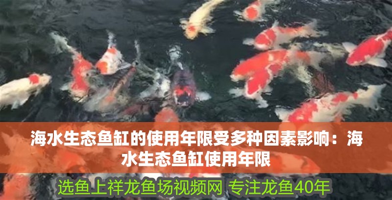 海水生態(tài)魚缸的使用年限受多種因素影響：海水生態(tài)魚缸使用年限