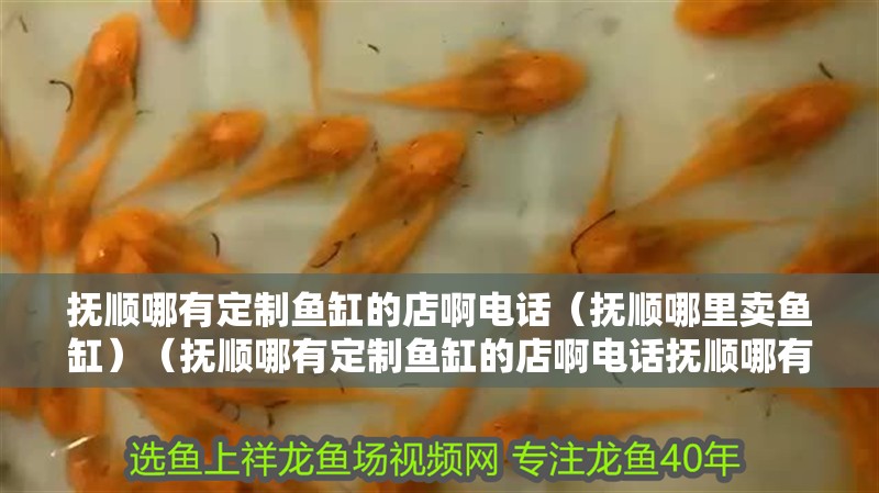 撫順哪有定制魚缸的店啊電話（撫順哪里賣魚缸）（撫順哪有定制魚缸的店啊電話撫順哪有定制魚缸的店啊）