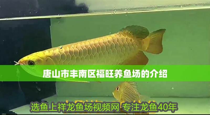 唐山市豐南區福旺養魚場的介紹