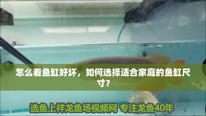 怎么看魚缸好壞，如何選擇適合家庭的魚缸尺寸？