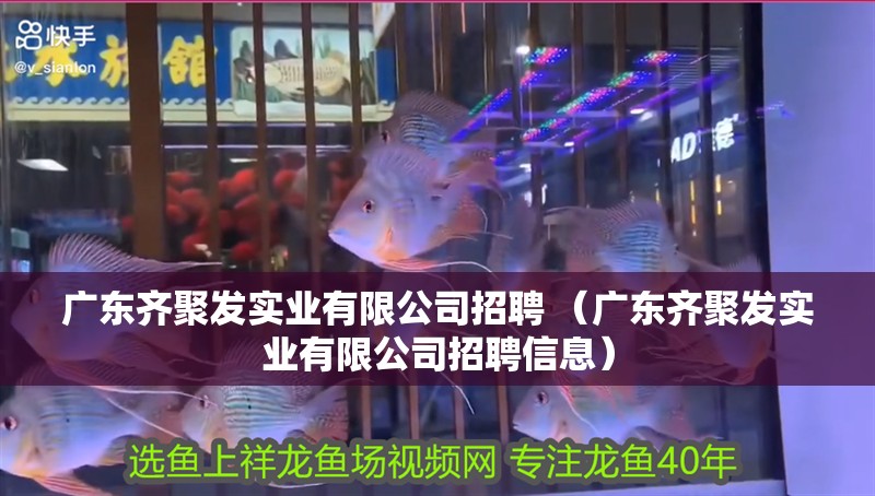 龍魚(yú)怕什么 廣東齊聚發(fā)實(shí)業(yè)有限公司招聘 (廣東齊聚發(fā)實(shí)業(yè)有限公司招聘信息) 全國(guó)水族館企業(yè)名錄 廣東齊聚發(fā)實(shí)業(yè)有限公司招聘 (廣東齊聚發(fā)實(shí)業(yè)有限公司招聘信息) 廣東齊聚發(fā)實(shí)業(yè)有限公司招聘 (廣東齊聚發(fā)實(shí)業(yè)有限公司招聘信息) 全國(guó)水族館企業(yè)名錄