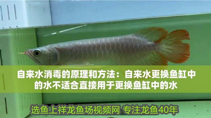 自來水消毒的原理和方法：自來水更換魚缸中的水不適合直接用于更換魚缸中的水