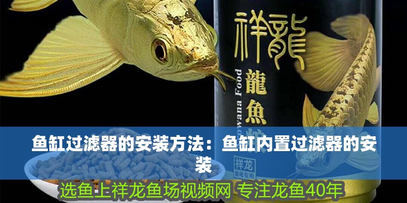 魚缸過濾器的安裝方法：魚缸內置過濾器的安裝