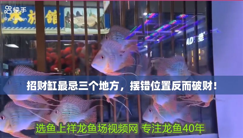 招財缸最忌三個地方，擺錯位置反而破財！