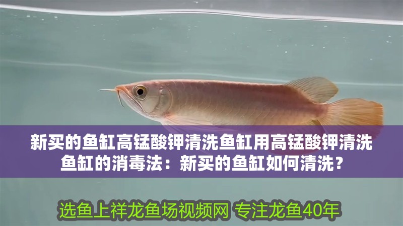 新買的魚缸高錳酸鉀清洗魚缸用高錳酸鉀清洗魚缸的消毒法：新買的魚缸如何清洗？ 新買的魚缸高錳酸鉀清洗魚缸用高錳酸鉀清洗魚缸的消毒法：新買的魚缸如何清洗？ 魚缸百科