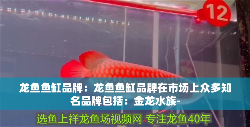 龍魚魚缸品牌：龍魚魚缸品牌在市場上眾多知名品牌包括：金龍水族- 龍魚魚缸品牌：龍魚魚缸品牌在市場上眾多知名品牌包括：金龍水族- 魚缸百科