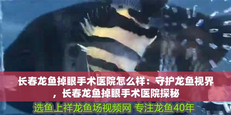南陽哪里有定做魚缸的地方啊圖片（南陽魚缸哪里有賣的）