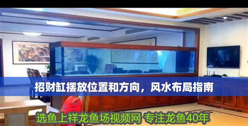 招財缸擺放位置和方向，風水布局指南