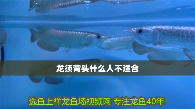 龍須背頭什么人不適合
