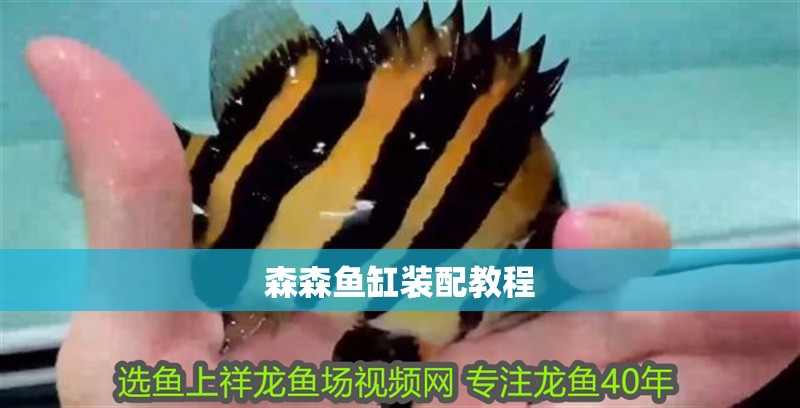 森森魚缸裝配教程 森森魚缸裝配教程 魚缸百科