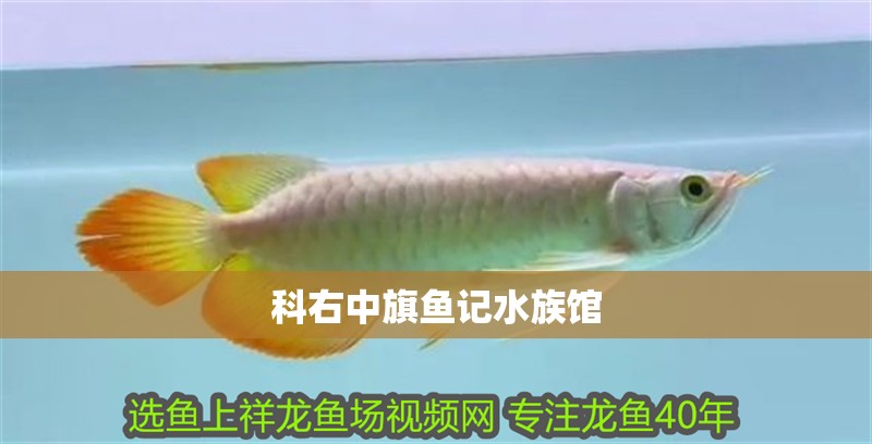 科右中旗魚記水族館