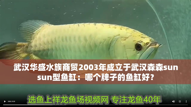 龍魚干蝦有營養(yǎng)嗎 武漢華盛水族商貿(mào)2003年成立于武漢森森sunsun型魚缸:哪個牌子的魚缸好? 魚缸百科 武漢華盛水族商貿(mào)2003年成立于武漢森森sunsun型魚缸:哪個牌子的魚缸好? 武漢華盛水族商貿(mào)2003年成立于武漢森森sunsun型魚缸:哪個牌子的魚缸好? 魚缸百科