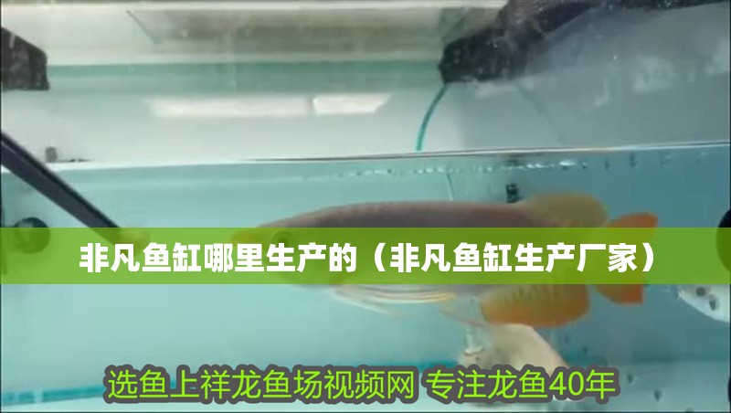 非凡魚缸哪里生產的（非凡魚缸生產廠家） 非凡魚缸哪里生產的（非凡魚缸生產廠家） 魚缸百科