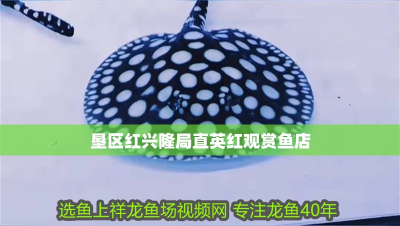 墾區紅興隆局直英紅觀賞魚店