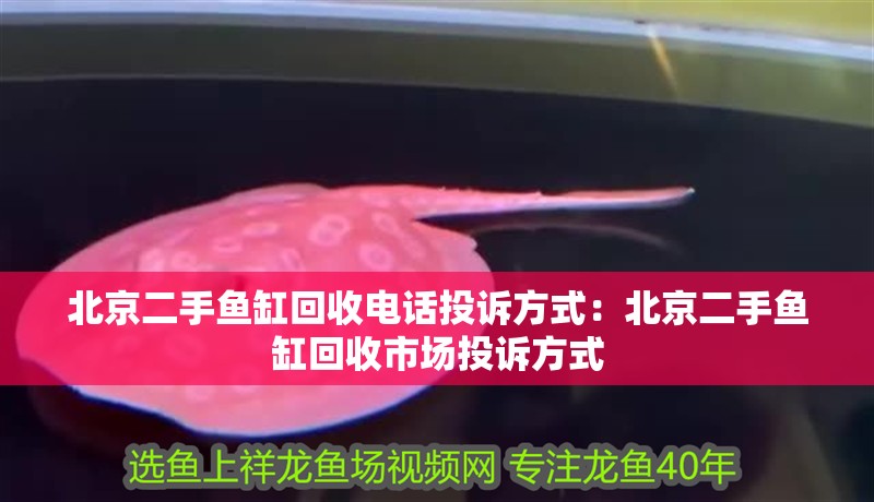 <strong><mark>北京</mark></strong>二手魚缸回收電話投訴方式：<strong><mark>北京</mark></strong>二手魚缸回收市場投訴方式
