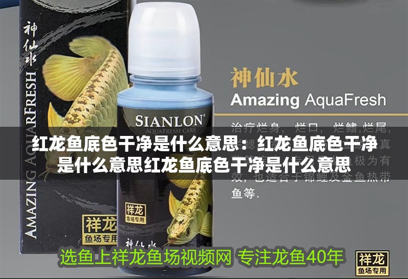 紅龍魚底色干凈是什么意思：紅龍魚底色干凈是什么意思紅龍魚底色干凈是什么意思