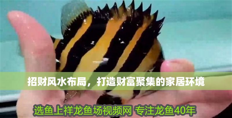 招財風水布局，打造財富聚集的家居環境