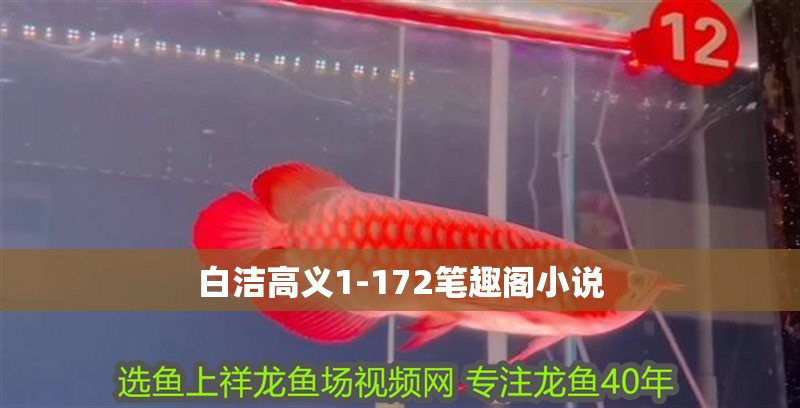 白潔高義1-172筆趣閣小說