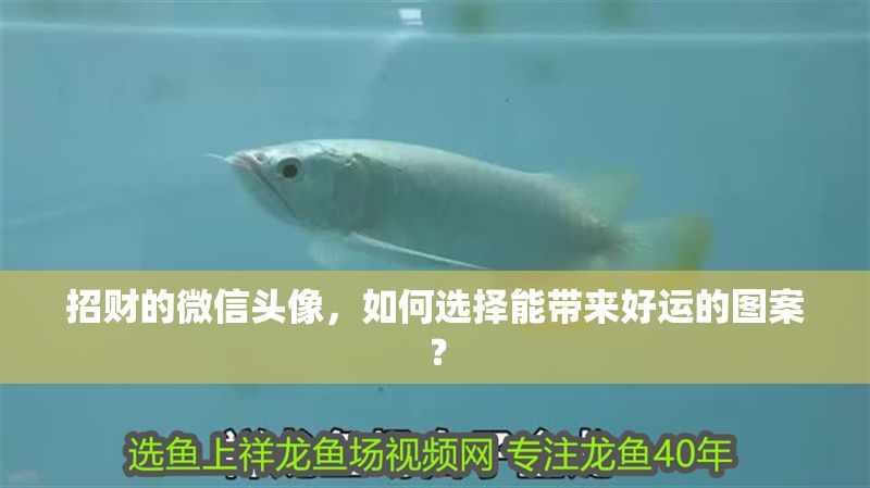招財?shù)奈⑿蓬^像，如何選擇能帶來好運的圖案？