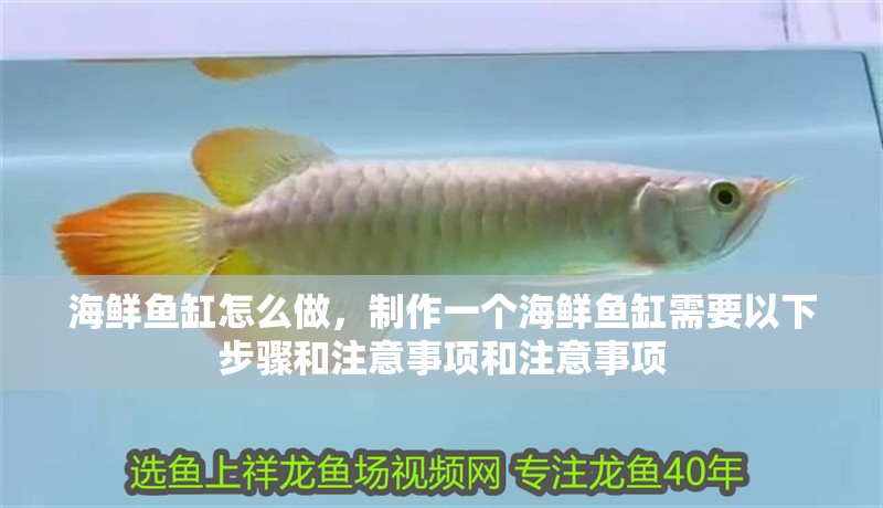 海鮮魚缸怎么做，制作一個海鮮魚缸需要以下步驟和注意事項和注意事項