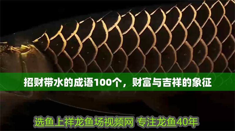 招財(cái)帶水的成語100個(gè)，財(cái)富與吉祥的象征