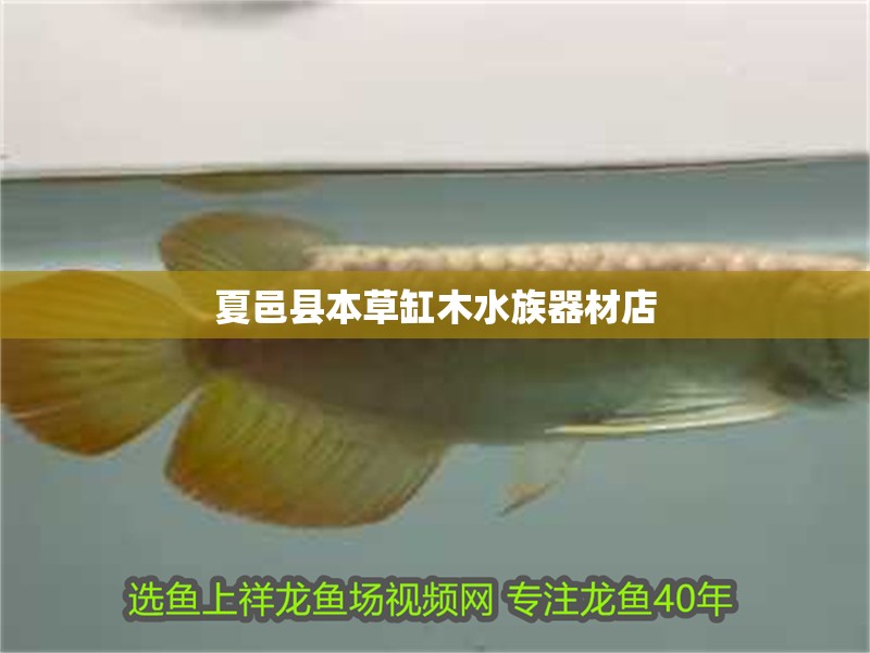 夏邑縣本草缸木水族器材店 夏邑縣本草缸木水族器材店 全國水族館企業名錄