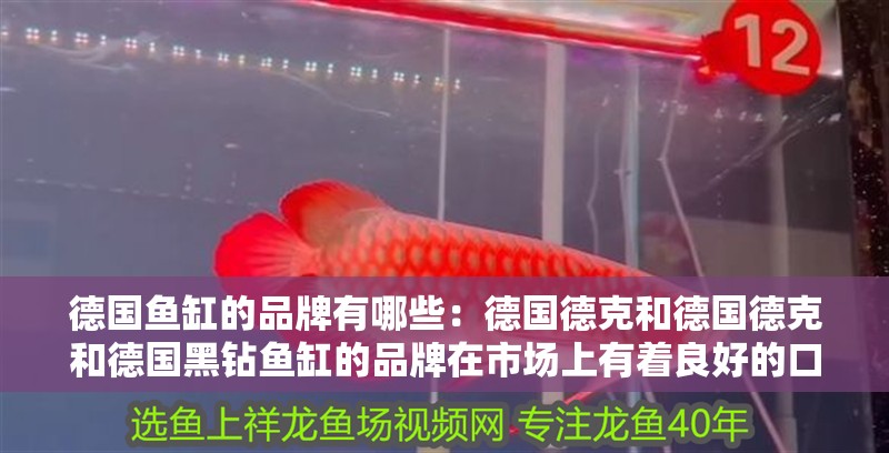 德國魚缸的品牌有哪些：德國德克和德國德克和德國黑鉆魚缸的品牌在市場上有著良好的口碑