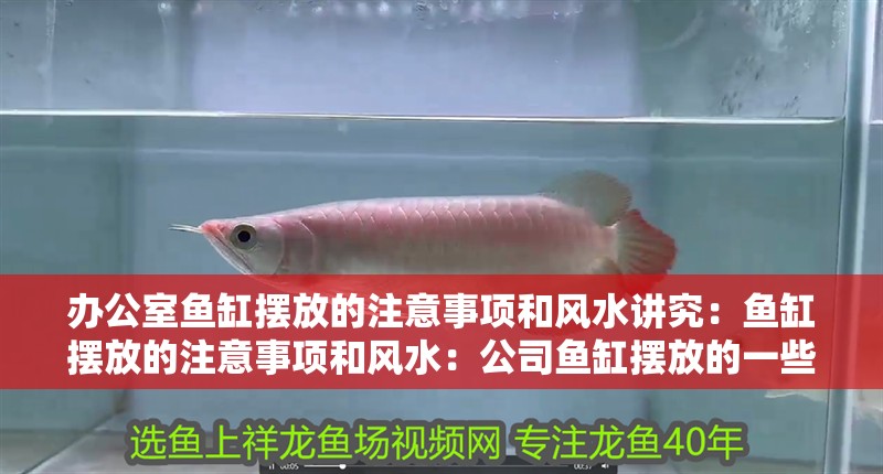 辦公室魚缸擺放的注意事項(xiàng)和風(fēng)水講究：魚缸擺放的注意事項(xiàng)和風(fēng)水：公司魚缸擺放的一些注意事項(xiàng)和風(fēng)水講究