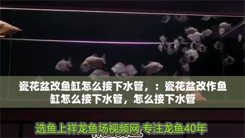 魚缸過濾器選購指南:自制魚缸過濾器魚缸上置過濾器對于養(yǎng)魚愛好者的必備知識 瓷花盆改魚缸怎么接下水管,:瓷花盆改作魚缸怎么接下水管,怎么接下水管 魚缸百科 瓷花盆改魚缸怎么接下水管,:瓷花盆改作魚缸怎么接下水管,怎么接下水管 瓷花盆改魚缸怎么接下水管,:瓷花盆改作魚缸怎么接下水管,怎么接下水管 魚缸百科