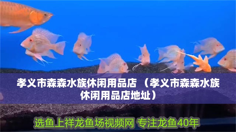 孝義市森森水族休閑用品店 （孝義市森森水族休閑用品店地址）
