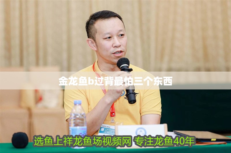 金龍魚b過背最怕三個東西