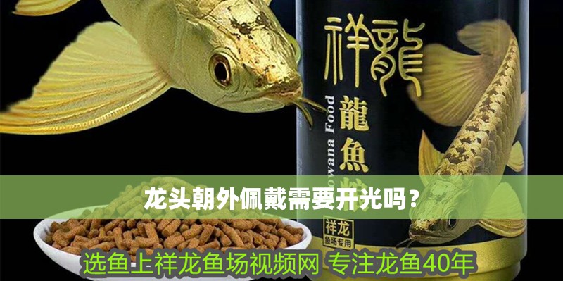 魚缸造景先放沙還是先放水(魚缸造景先鋪沙還是先放石頭) 龍頭朝外佩戴需要開光嗎? 龍魚論壇 龍頭朝外佩戴需要開光嗎? 龍頭朝外佩戴需要開光嗎? 龍魚論壇
