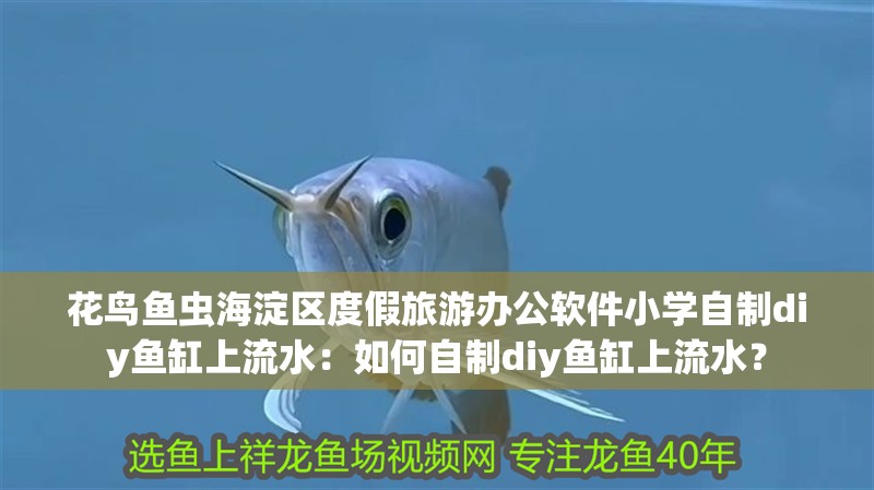 花鳥魚蟲<strong><mark>海淀</mark></strong>區(qū)度假旅游辦公軟件小學自制diy魚缸上流水：如何自制diy魚缸上流水？