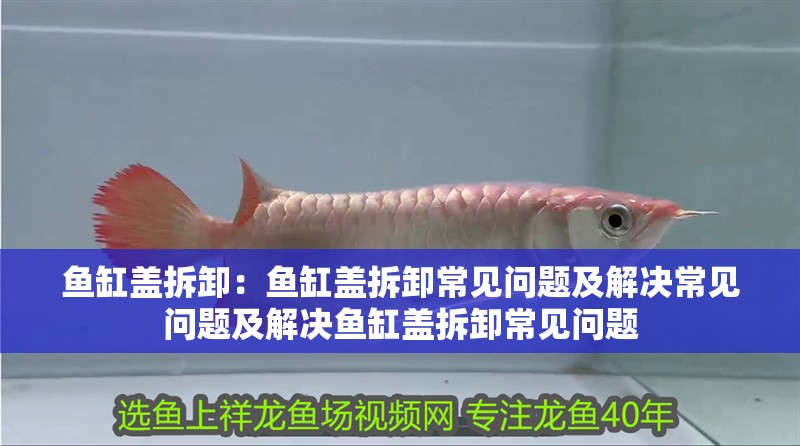 魚缸蓋拆卸：魚缸蓋拆卸常見問題及解決常見問題及解決魚缸蓋拆卸常見問題