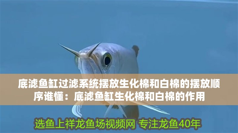 底濾魚缸過濾系統擺放生化棉和白棉的擺放順序誰懂：底濾魚缸生化棉和白棉的作用