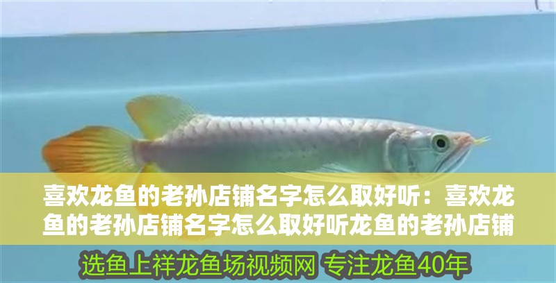 喜歡龍魚的老孫店鋪名字怎么取好聽：喜歡龍魚的老孫店鋪名字怎么取好聽龍魚的老孫店鋪名字
