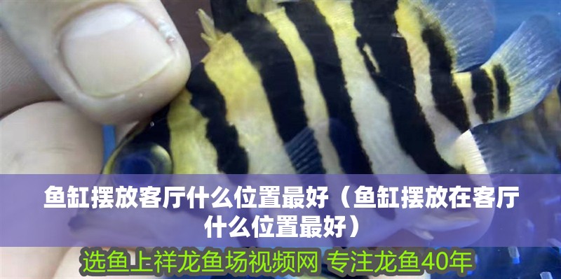 魚缸用增氧泵價格是多少:魚缸增氧機-xtrac增氧機-xtrac增氧機 魚缸擺放客廳什么位置最好(魚缸擺放在客廳什么位置最好) 魚缸百科 魚缸擺放客廳什么位置最好(魚缸擺放在客廳什么位置最好) 魚缸擺放客廳什么位置最好(魚缸擺放在客廳什么位置最好) 魚缸百科