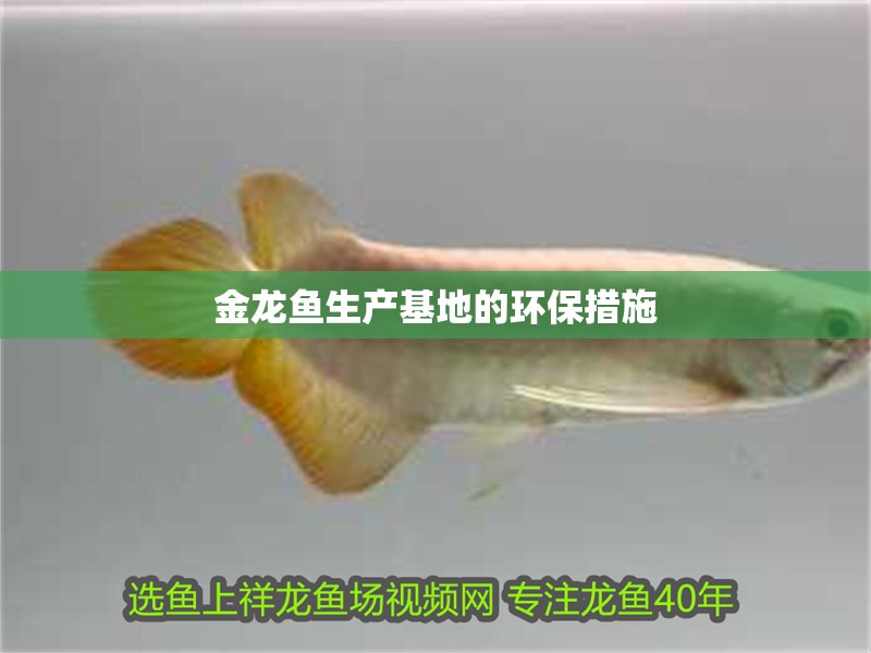 金龍魚生產基地的環保措施