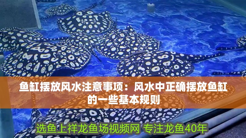 魚缸擺放風水注意事項：風水中正確擺放魚缸的一些基本規則