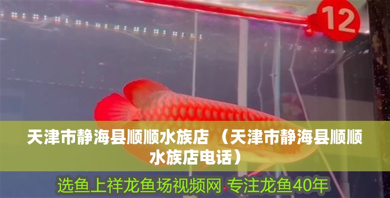 天津市靜海縣順順水族店 （天津市靜海縣順順水族店電話）