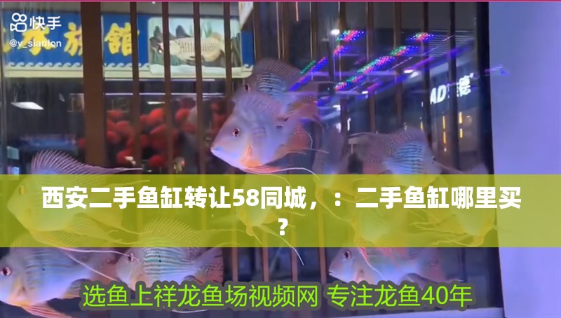 西安二手魚缸轉讓58同城，：二手魚缸哪里買？