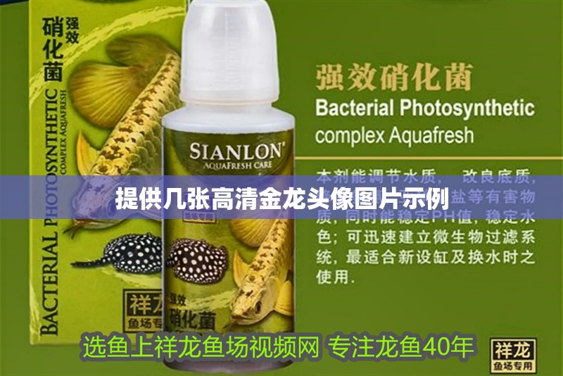 提供幾張高清金龍頭像圖片示例