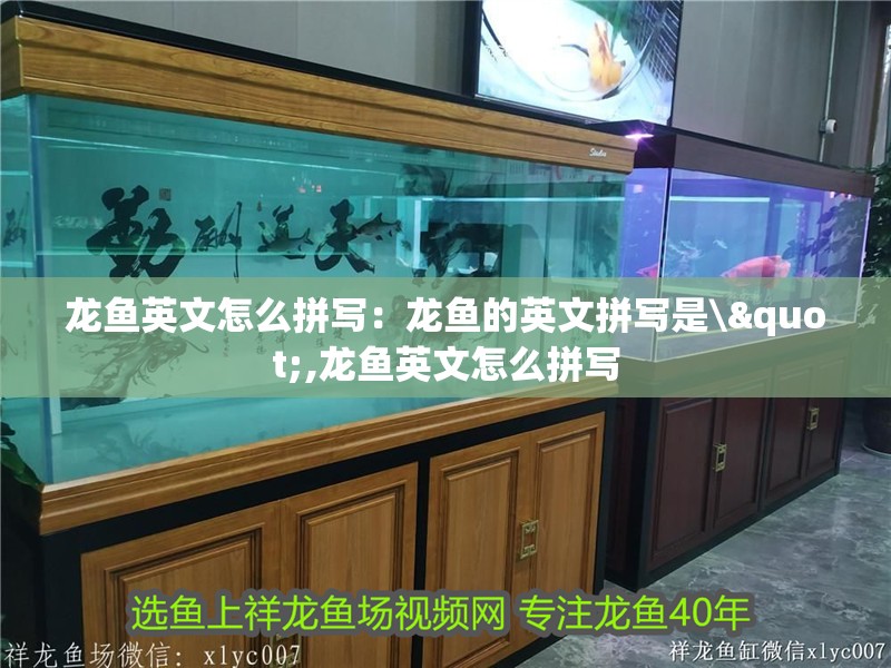 龍魚英文怎么拼寫：龍魚的英文拼寫是\",龍魚英文怎么拼寫