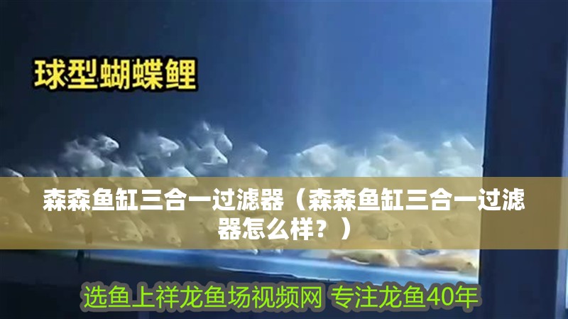 森森魚缸三合一過濾器（森森魚缸三合一過濾器怎么樣？）
