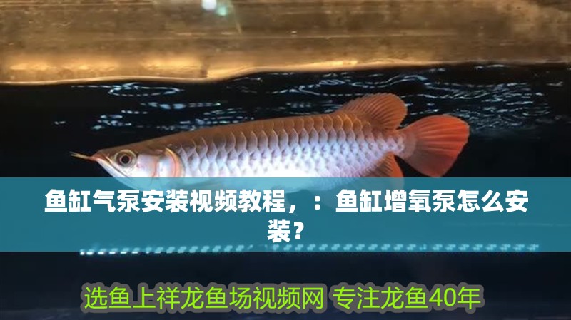 魚缸氣泵安裝視頻教程，：魚缸增氧泵怎么安裝？